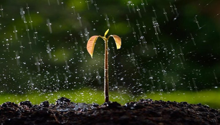 Go Eco riendly with Ecosheet’s Eco Friendly Plyboards